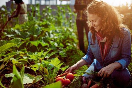 Huerto urbano. Cómo reducir los residuos que generas cultivando tus propios alimentos.